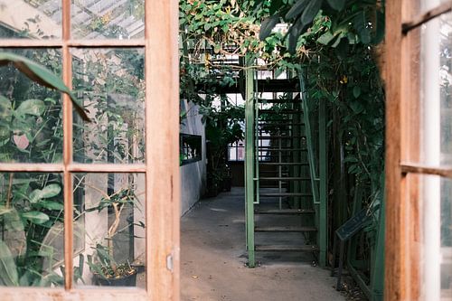 Entree met trap van een botanische tuinkas