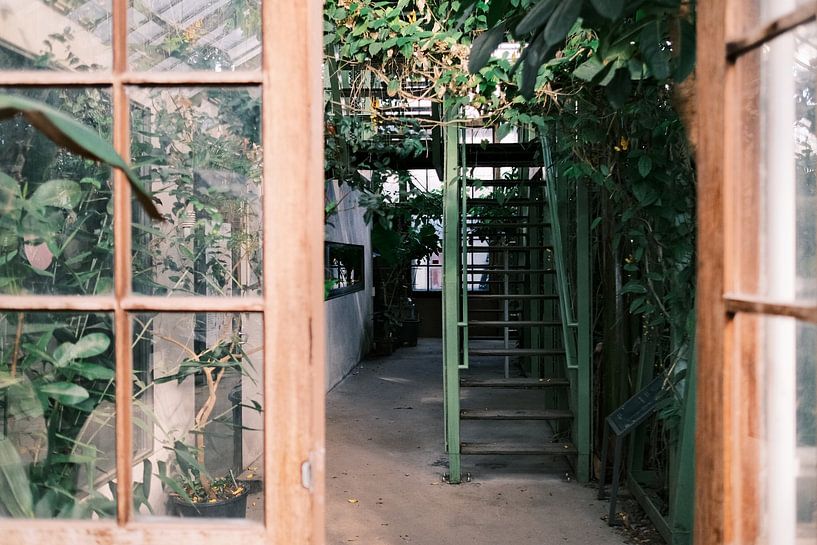 Entree met trap van een botanische tuinkas van Diana van Neck Photography