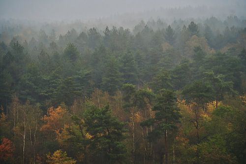 Un automne pittoresque