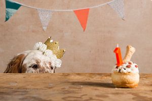 princesse d'anniversaire