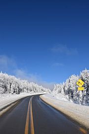 Een landweg in de winter van Claude Laprise