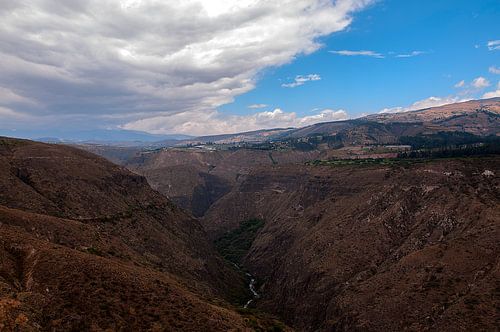 Ecuador: Cotacachi natuurgebied (Cotacachi)