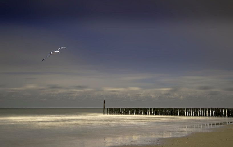 Domburgse kust van Fons Bitter
