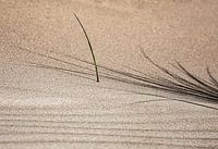 Sand carpet of the Wadden: sand and zen from Terschelling