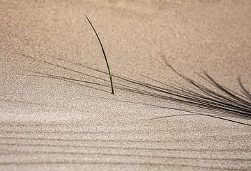 Zandtapijt van de Wadden: zand en zen uit Terschelling van Sia Windig
