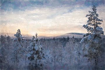 Winterlandschap van Marco Lodder