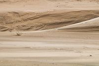 Sand landscape