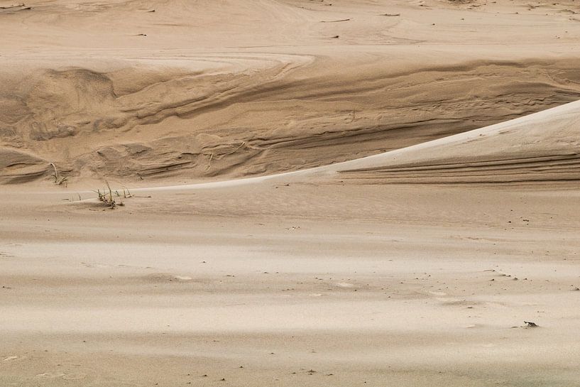 Sand landscape by Anna Thiessen