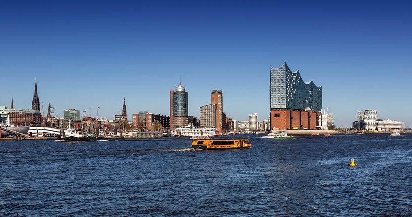 Hamburg City Skyline at the Elbphilharmonie by Frank Herrmann