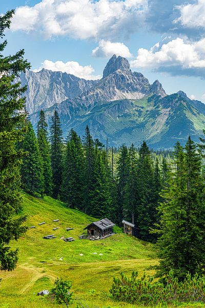 Berglandschaft "Hütte in den Bergen" von Coen Weesjes