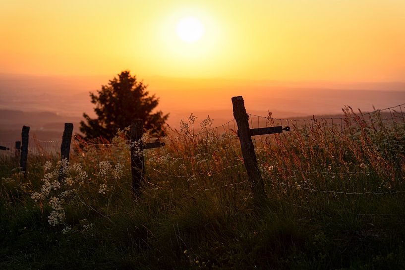 Sunset by Andre Michaelis