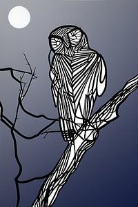 Owl looks back black-white-moonlight