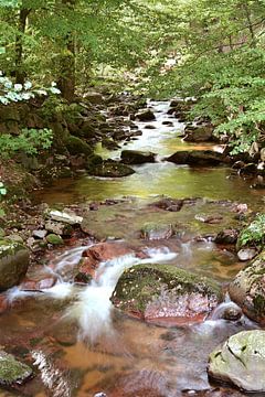 De rivier de Ilse in het Harz Nationaal Park van Heiko Kueverling