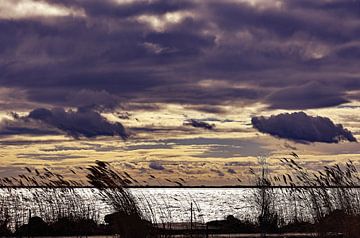 Tussen licht en storm - ochtend aan het meer