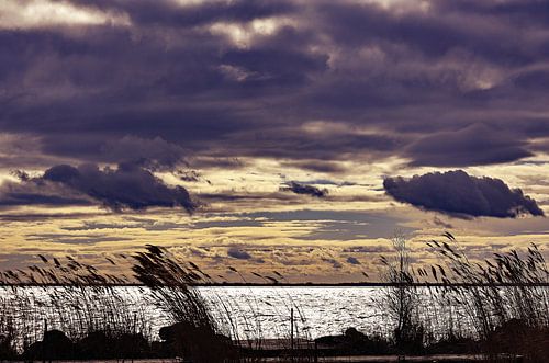 Zwischen Licht und Sturm – Morgen am See