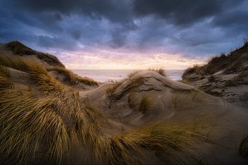 Sfeervolle lucht bij duinen Westenschouwen van Thom Brouwer