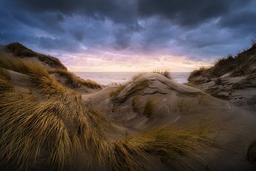 Sfeervolle lucht bij duinen Westenschouwen