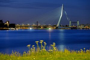 Avondfoto van de Erasmusbrug von Mark De Rooij