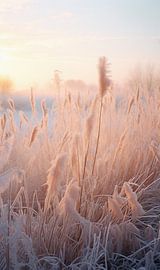 Goldene Stunde im Winter