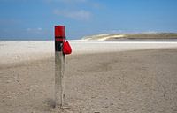 Red Handbag par Menno Schaefer Aperçu