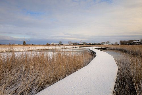 Winter Dutch landscape