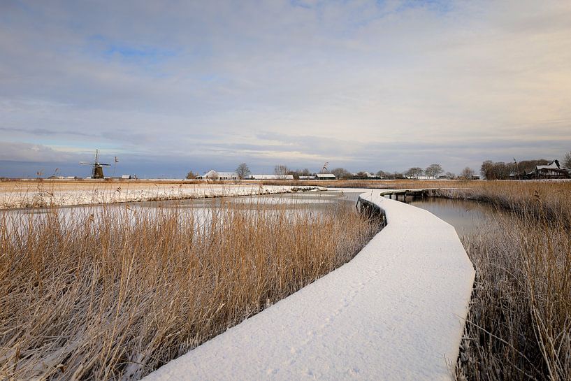 Winter Dutch landscape by Eefje John
