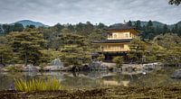 De gouden tempel (Kinkaku-ji) in Kyoto (Japan) van Claudio Duarte thumbnail