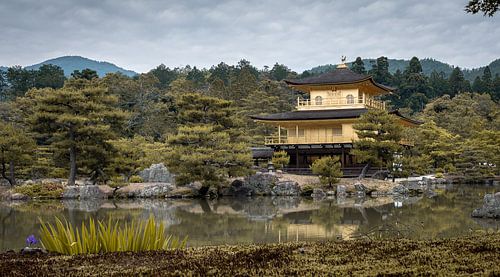 De gouden tempel (Kinkaku-ji) in Kyoto (Japan)