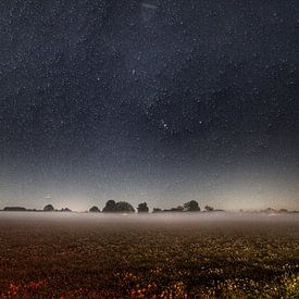 Brouillard et étoiles sur Bram van den Berg