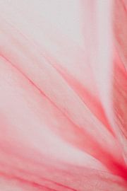 Flamingo flower no. 1 van Elise van Gils