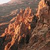 life on mars in Teide national park, Tenerife by Elke Wendrickx