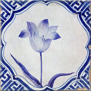 Delft blue tile tulip