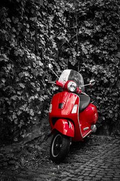 Motor scooter in red on pavement and wall with ivy in black and white as background by Dieter Walther