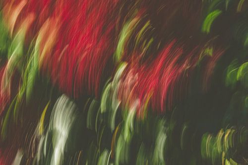 donker rood van Jan Peter Jansen