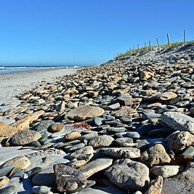 Stones on the beach by Werner Lehmann