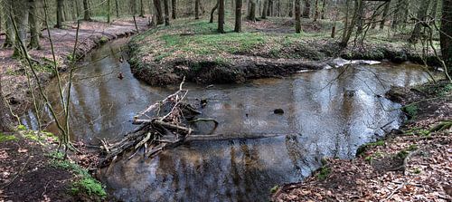 Buigen bij de Silvertbach