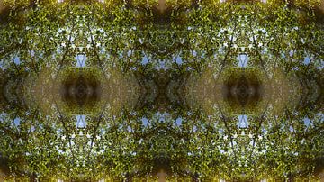 Gespiegelde bladeren, water en symmetrie 3 van Heidemuellerin