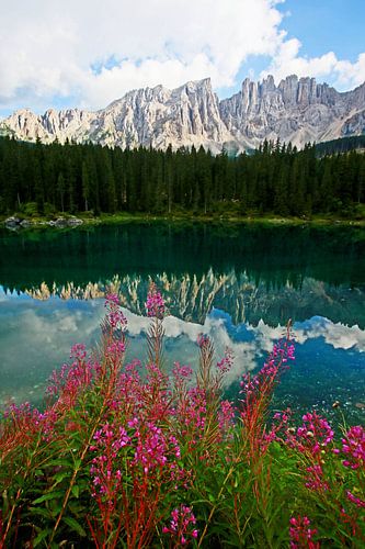 Zomer aan het Carezza-meer