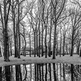 Spiegeling in de dobbe van Andre Brasse Photography