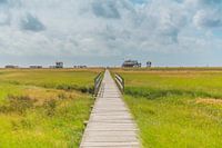DE WEG NAAR HET STRAND