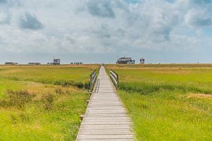 DE WEG NAAR HET STRAND