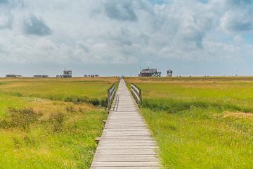 DE WEG NAAR HET STRAND van Christian Schmidt