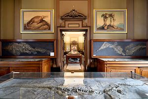 1. Fossiliensaal im Teylers Museum von Teylers Museum