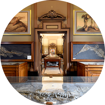 1e Fossielenzaal in Teylers Museum van Teylers Museum