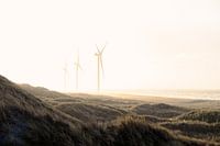 Strand in Dänemark mit Windrädern im Sonnenaufgang