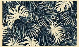 Canopy under Moonlight by ByNoukk