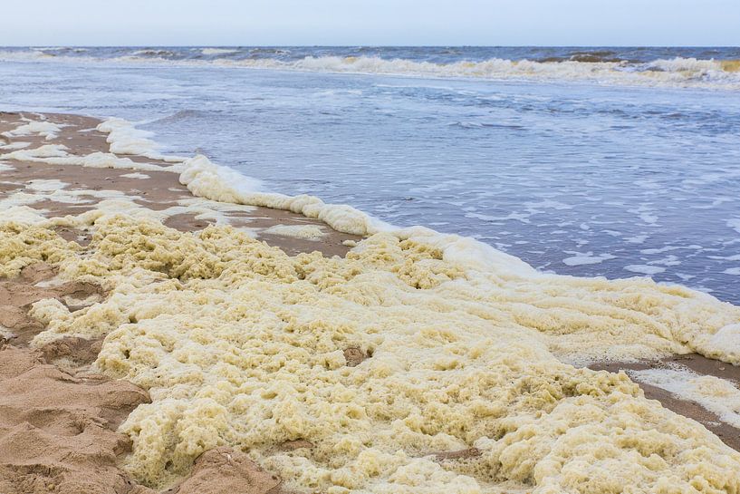 Landscape of dutch beach with foam and sea by Ben Schonewille