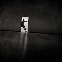 ***, Yaroslav Vasiliev-Apostol