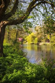 View of the Leidse Rijn near park Oog in Al (Utrecht) in spring by André Blom Fotografie Utrecht