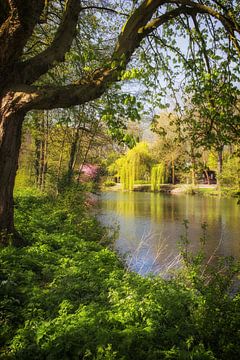 Zicht op de Leidse Rijn bij park Oog in Al (Utrecht) in de lente